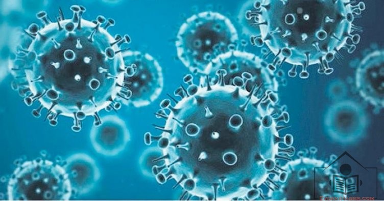 Influenza A Virus - Çok Yüzlü Bir Parazit
